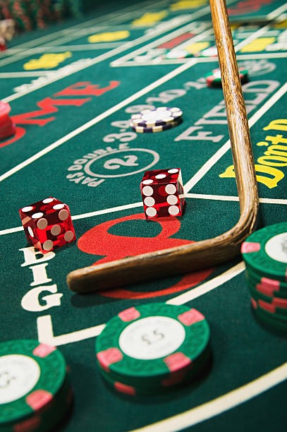 Dragon Tiger live dealer studio with multi-camera feed on asia bookie